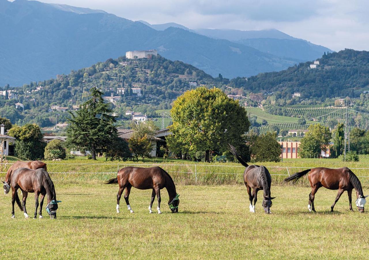 Aparthotel Progress Country & Wine House Asolo Exterior foto